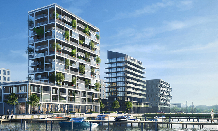 Vi Houses Afforestation